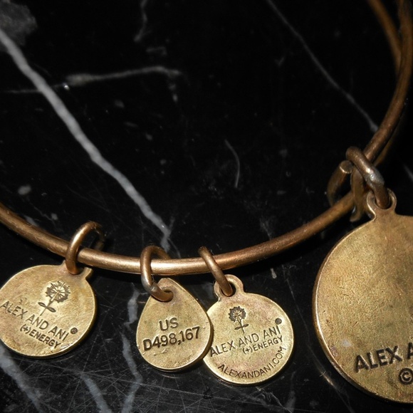 Alex And Ani Sister Family Charm Russian Gold Bang - Picture 5 of 6